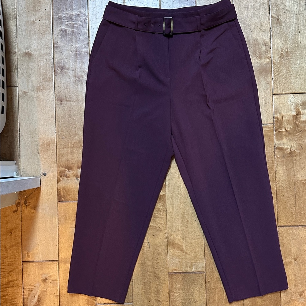 Ann Taylor Deep Purple Ankle Pants
